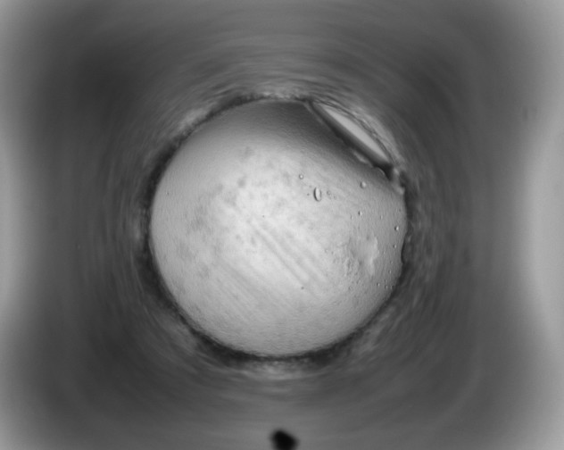 X0000086230305200704121920