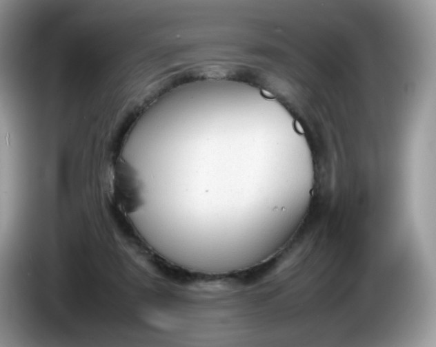 X0000086230307200704121920