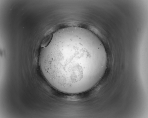 X0000086230309200704121920