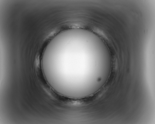 X0000086230310200704121920