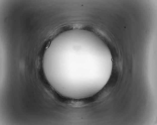 X0000086230311200704121920