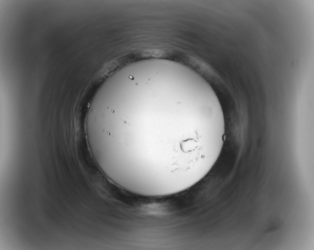 X0000086230312200704121920