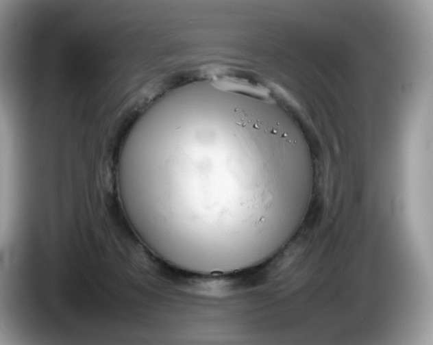 X0000086230313200704121920