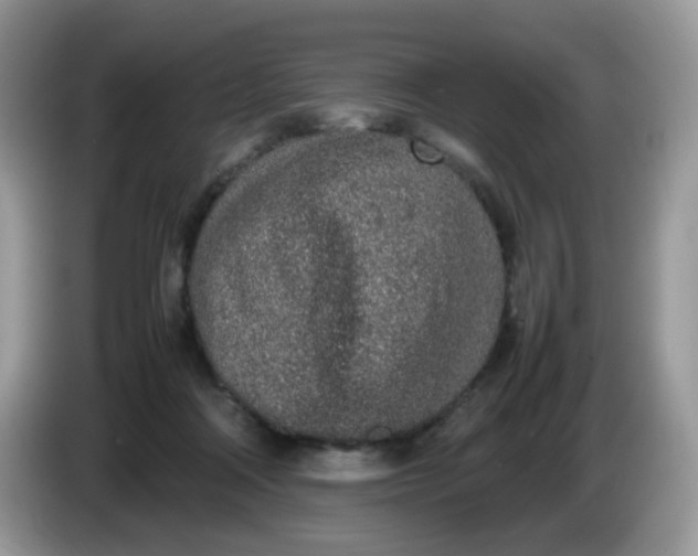 X0000086230314200704121920