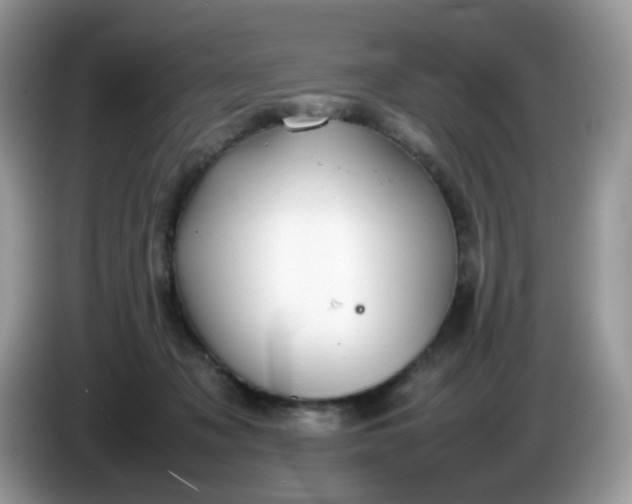 X0000086230317200704121920