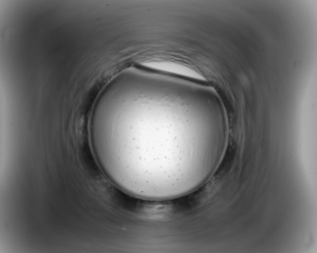 X0000086230319200704121920