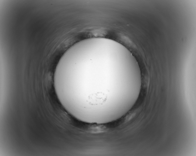 X0000086230321200704121920