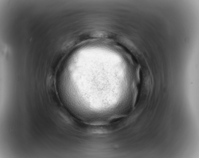 X0000086230322200704121920