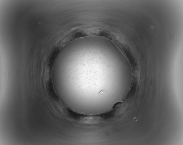 X0000086230323200704121920