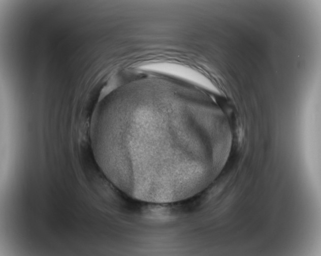 X0000086230325200704121920