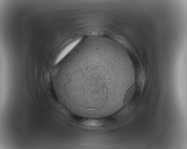 X0000086230326200704121920