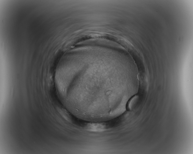 X0000086230327200704121920