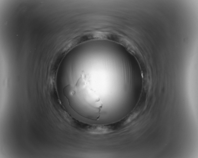 X0000086230329200704121920