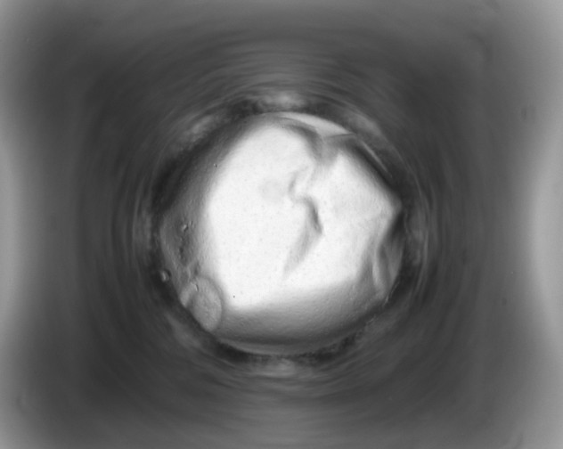 X0000086230330200704121920