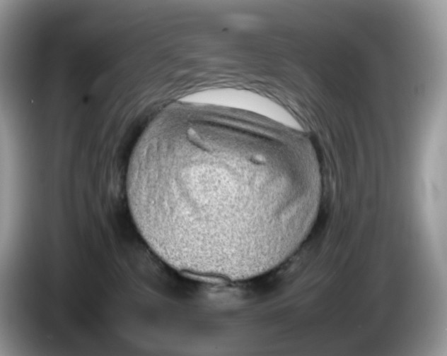 X0000086230331200704121920