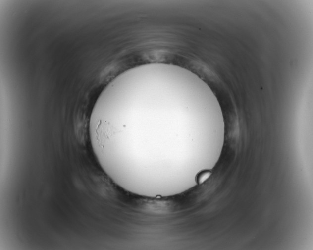 X0000086230332200704121920