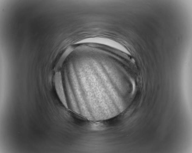 X0000086230333200704121920