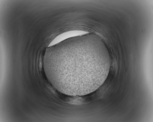 X0000086230334200704121920