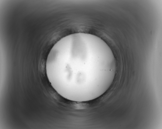 X0000086230336200704121920