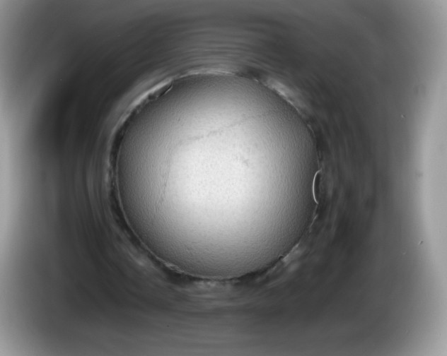 X0000086230338200704121919