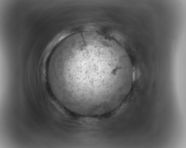 X0000086230339200704121919