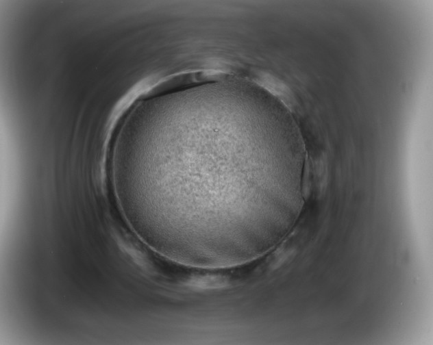 X0000086230340200704121919