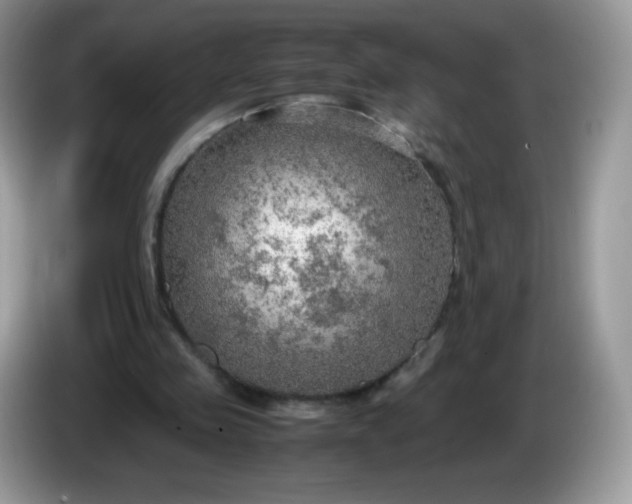 X0000086230341200704121919