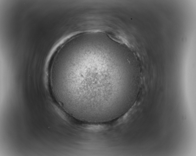 X0000086230342200704121919