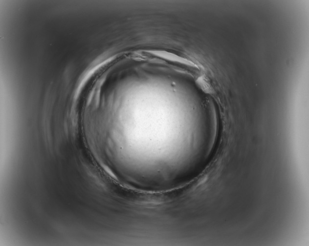 X0000086230343200704121919