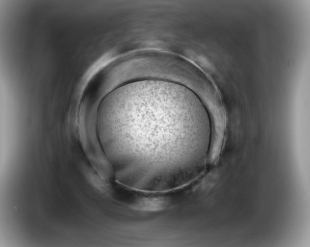 X0000086230344200704121919