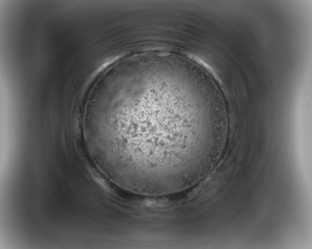 X0000086230345200704121919