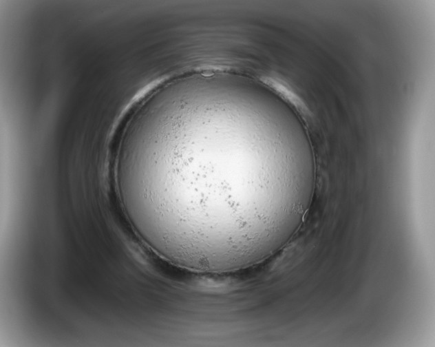 X0000086230346200704121919