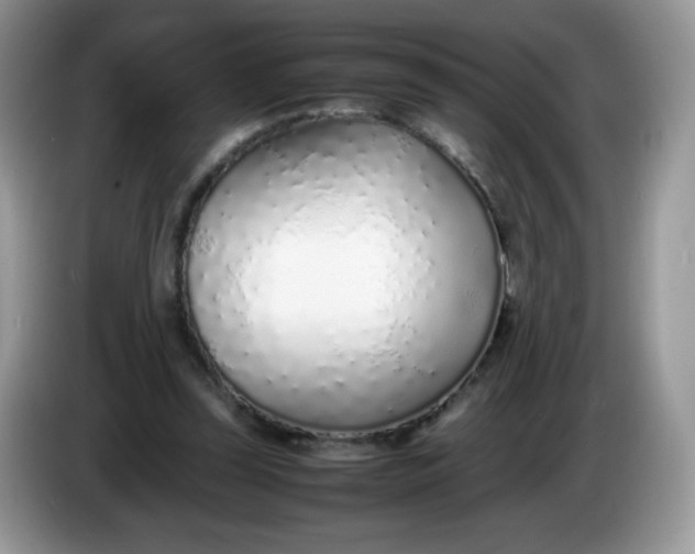 X0000086230347200704121919