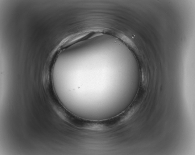 X0000086230348200704121919