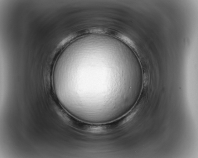 X0000086230349200704121919