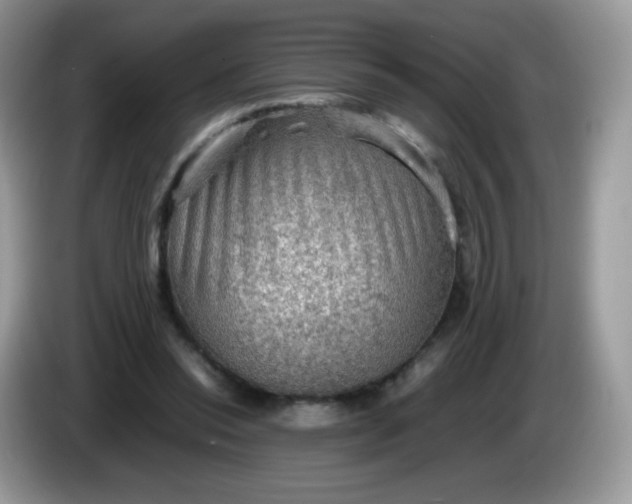 X0000086230350200704121919