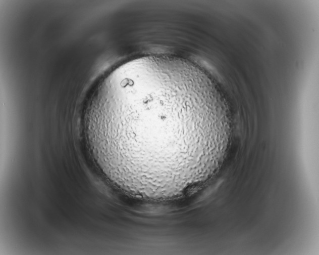 X0000086230351200704121919