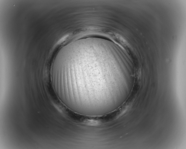 X0000086230352200704121919