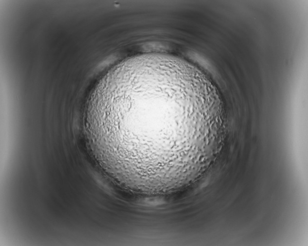 X0000086230353200704121919