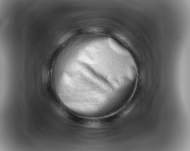 X0000086230355200704121919