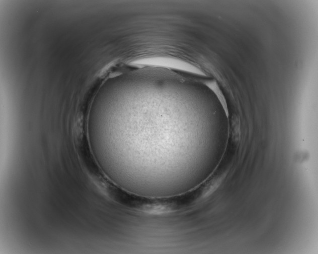 X0000086230356200704121919