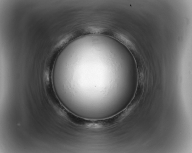 X0000086230358200704121919