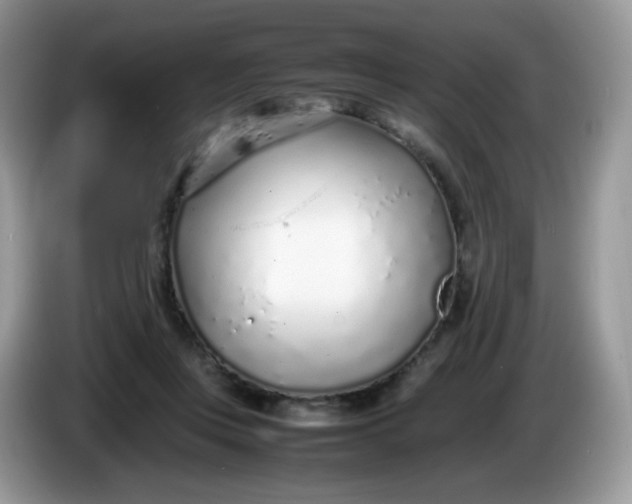 X0000086230359200704121919