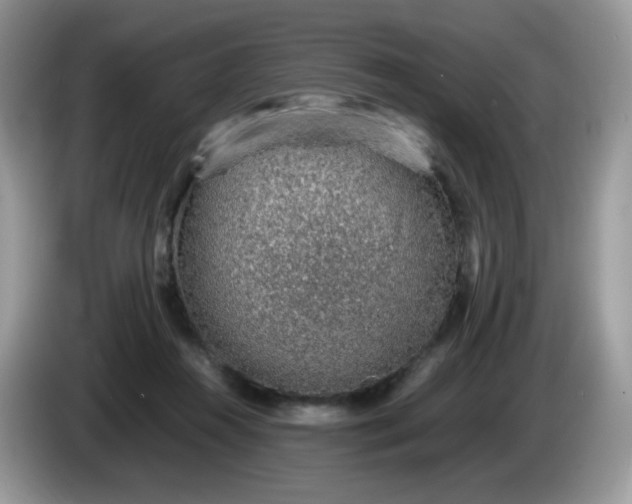 X0000086230360200704121919