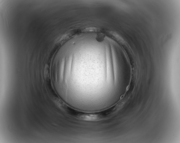 X0000086230361200704121919