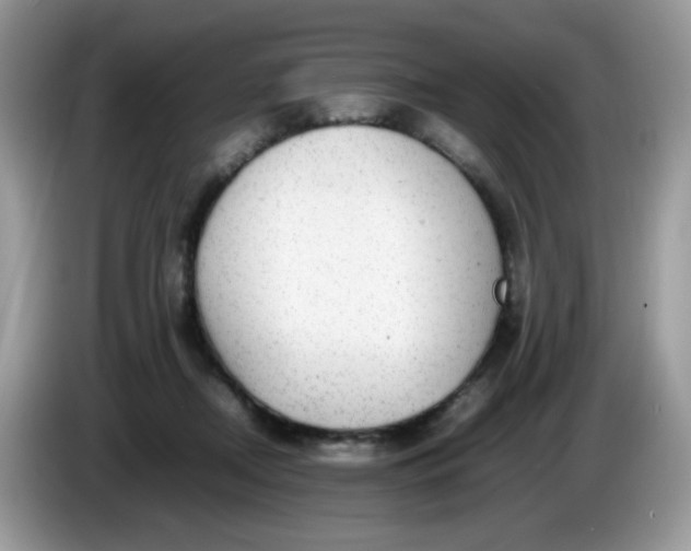 X0000086230362200704121919