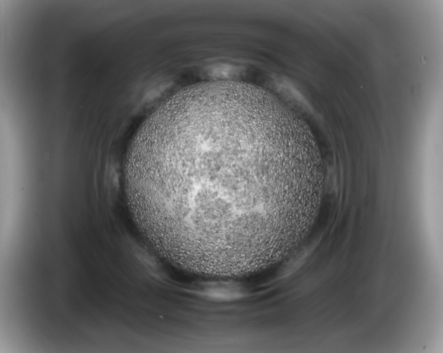 X0000086230363200704121919