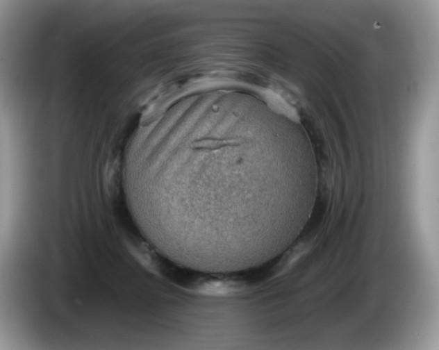 X0000086230364200704121919