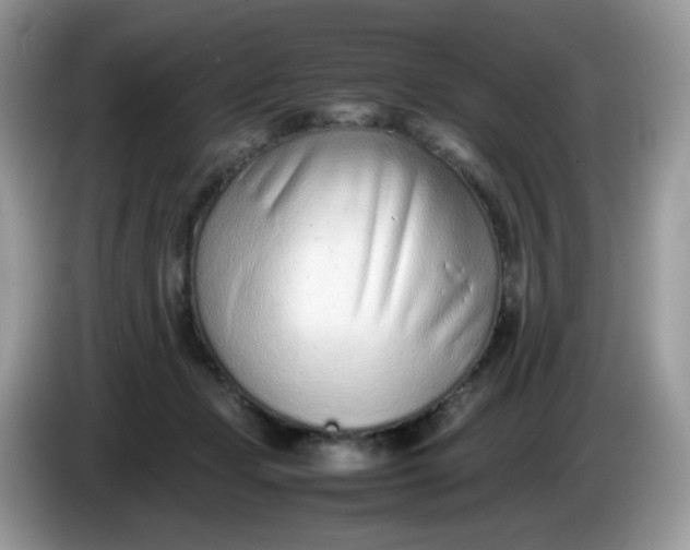 X0000086230365200704121919