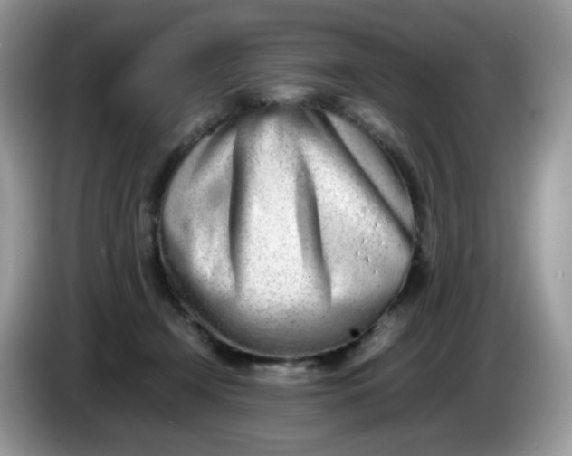 X0000086230366200704121919